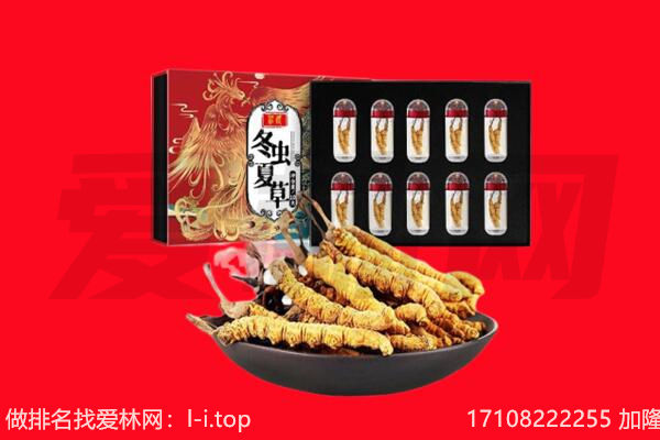 米易县回收虫草.jpg